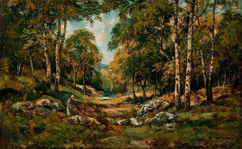 Woods at the Edge of the Forest